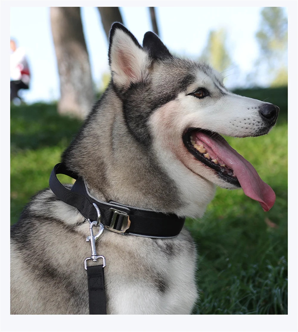 Collar para perro grande de nailon reflectante de 4 colores con agarre ajustable y acolchado suministros de adiestramiento al aire libre para perros medianos y grandes - imagen 4