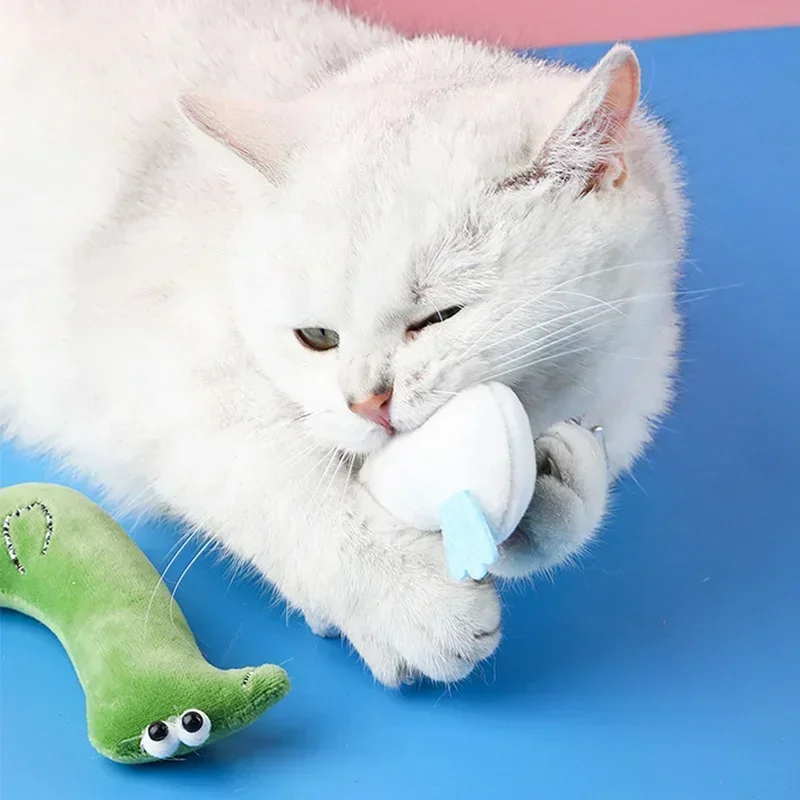 Paquete de juguete para gatos