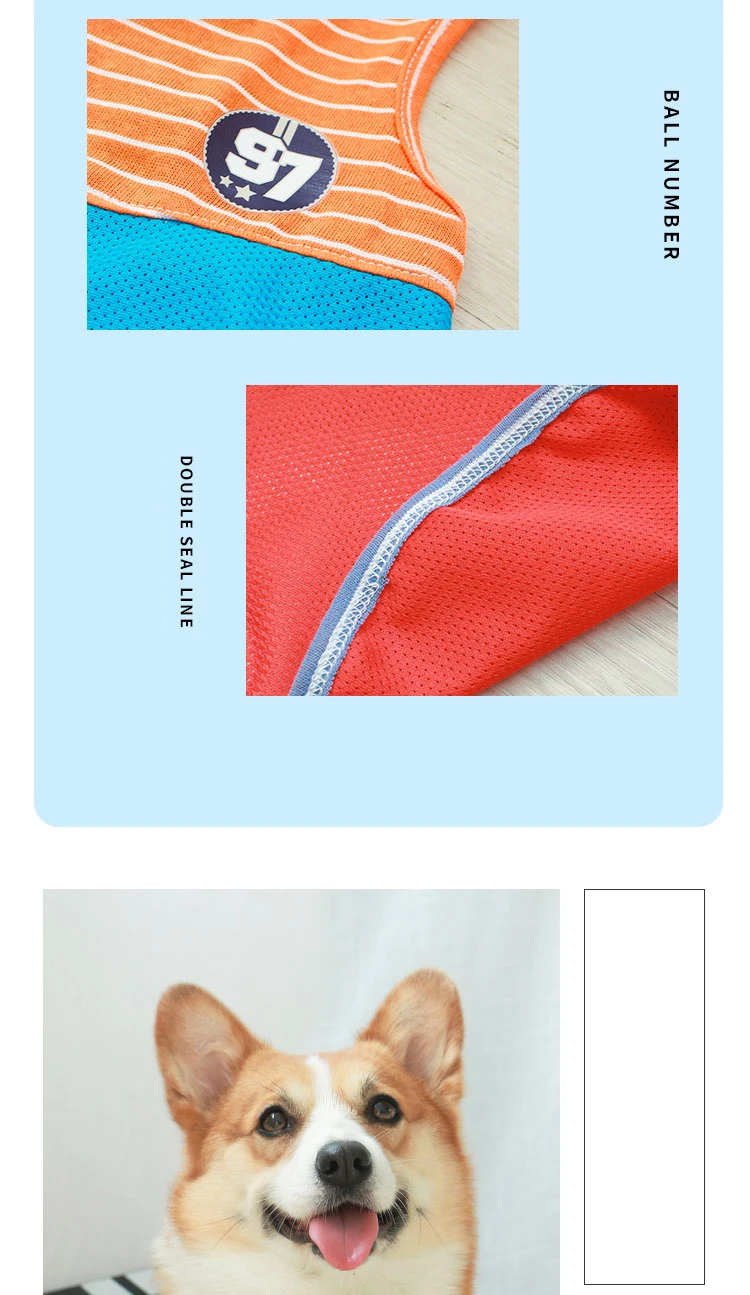 Un collage de tres vistas diferentes de una pelota deportiva, específicamente una pelota de baloncesto, y una foto de un perro. La pelota de baloncesto se muestra en tres ángulos diferentes: una vista superior, una vista lateral y un primer plano de las costuras.