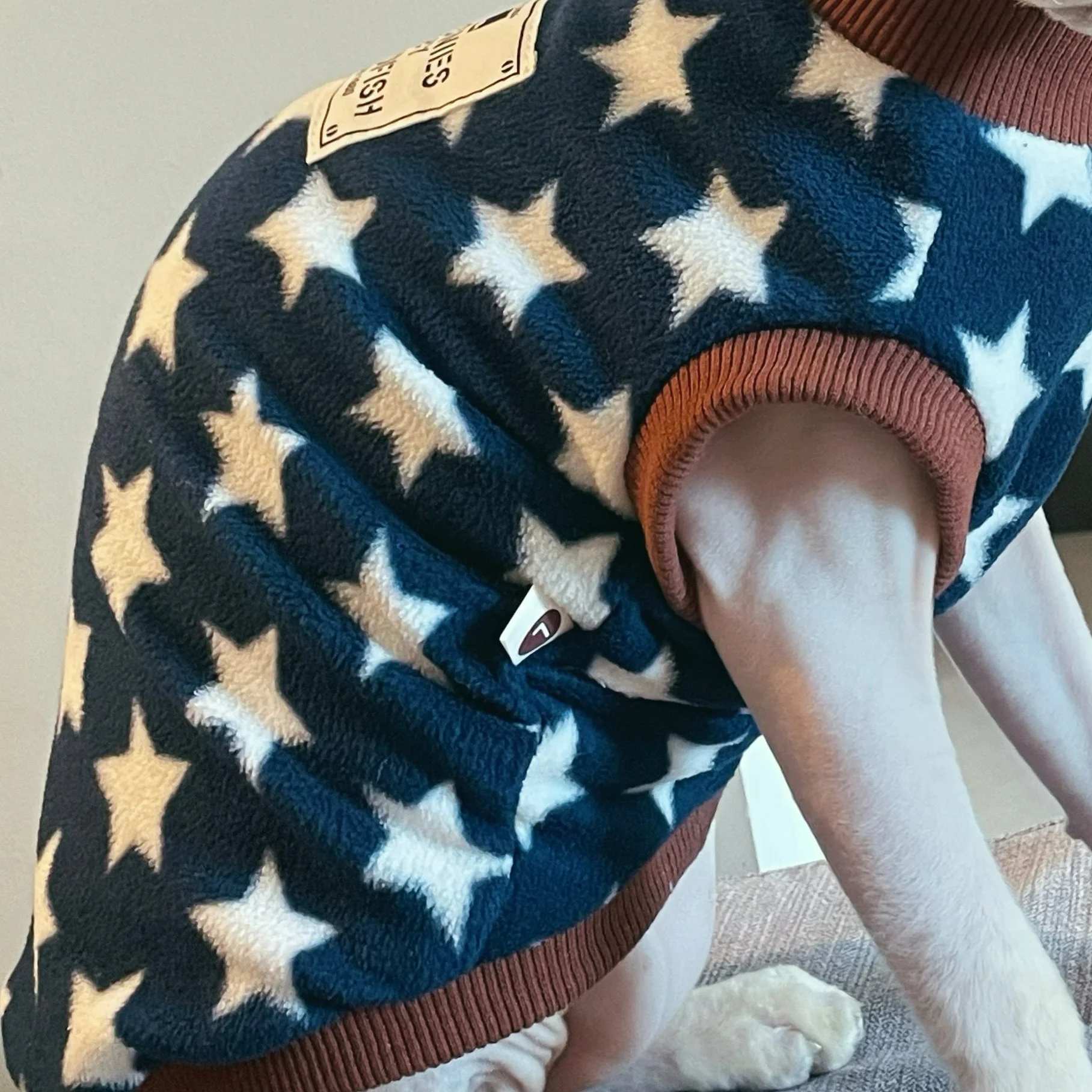 Sudadera de lana para gatos Sphynx y Devon Rex con estrellas - imagen 5