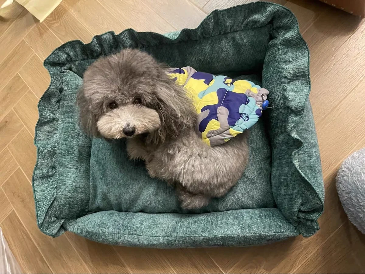 Cama terciopelo para gatos y perros mini con volantes, funda lavable - imagen 4