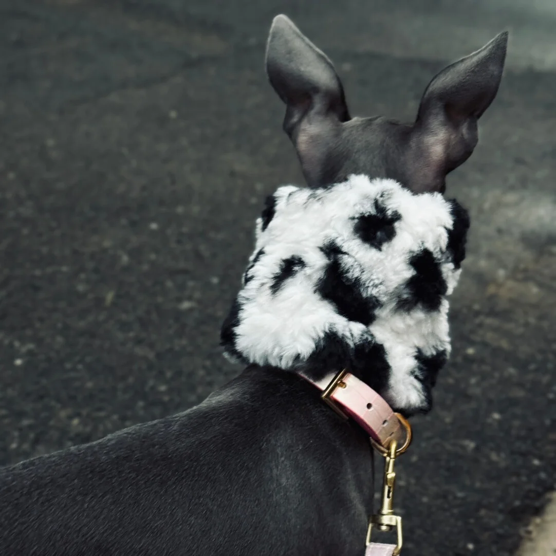 Orejeras anticongelantes cálidas para exteriores para perros en otoño invierno bufanda de lana suave y agradable para la piel en blanco y negro para galgo italiano