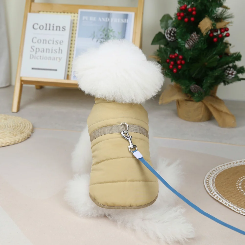 Perro pequeño con abrigo impermeable de invierno color sólido