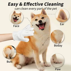 Guantes desodorantes sin agua para gatos y perros – Aseo rápido