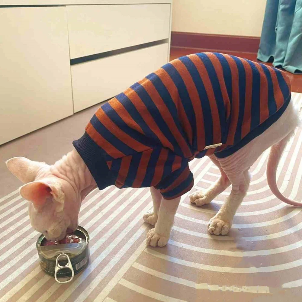 Sphynx Cat Camiseta café a rayas de cuello alto Mangas largas Abrigo de algodón primaveral para gato sin pelo Ropa de estar por casa agradable para la piel para gatitos - imagen 5