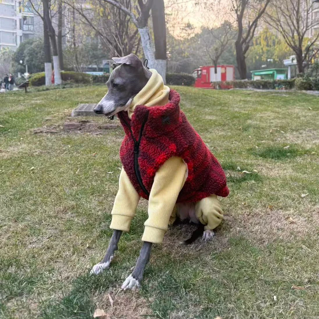 Abrigo forro polar para perro galgo italiano y whippet - imagen 2
