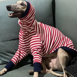 Jersey con rayas para galgo italiano – Cuello alto elástico