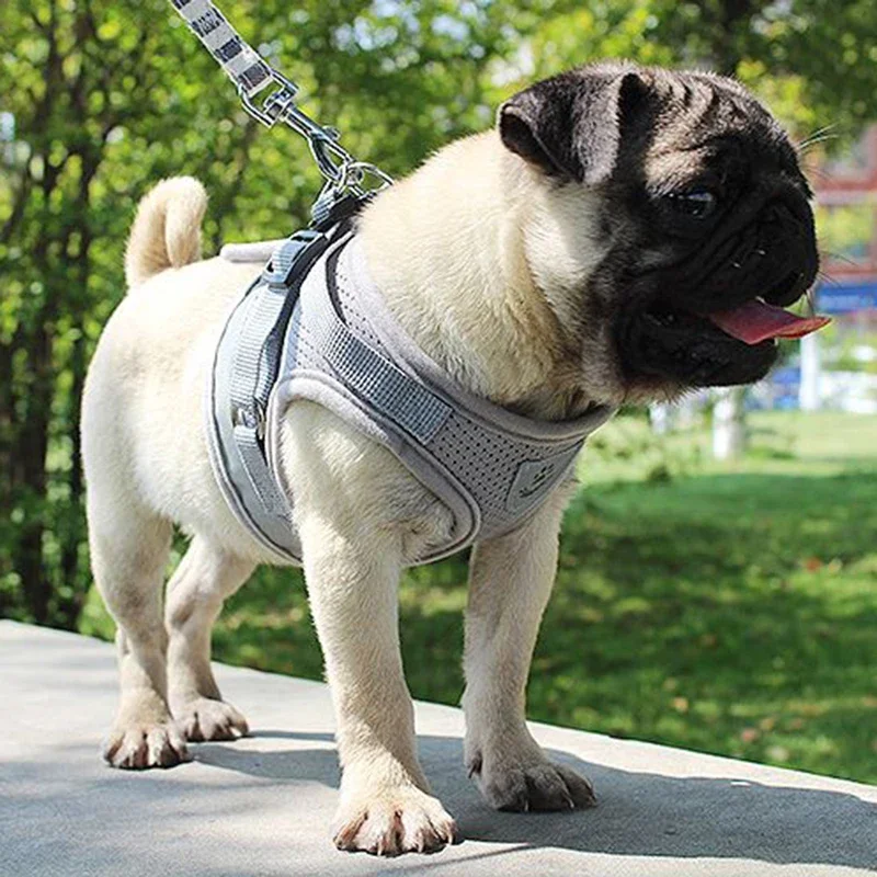 Vest Harness Leash Adjustable Mesh Vest Dog Harness Collar Chest Strap Leash Harnesses With Traction Rope XS/S/M/L/XL - imagen 3