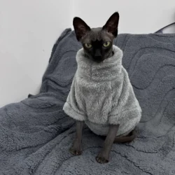 Jersey de terciopelo para gato Devon Rex – Abrigo invierno suave