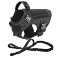 BK Harness Leash
