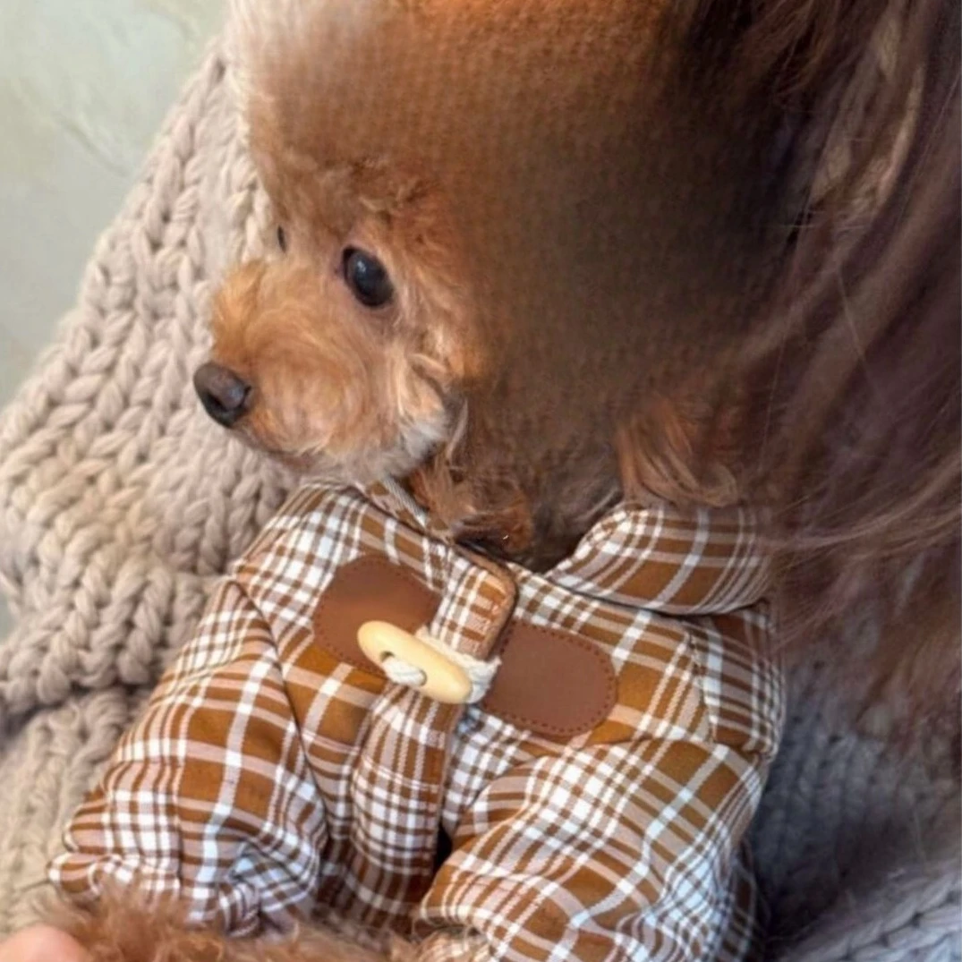 Chaleco cálido a cuadros para perros y gatos, ropa para mascotas de otoño e invierno para perros pequeños (schnauzer/teddy), abrigo bonito para cachorros