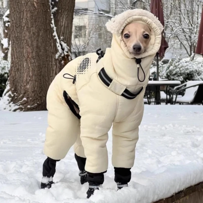 Abrigo impermeable para Greyhound – Protección frío invierno exterior - imagen 4