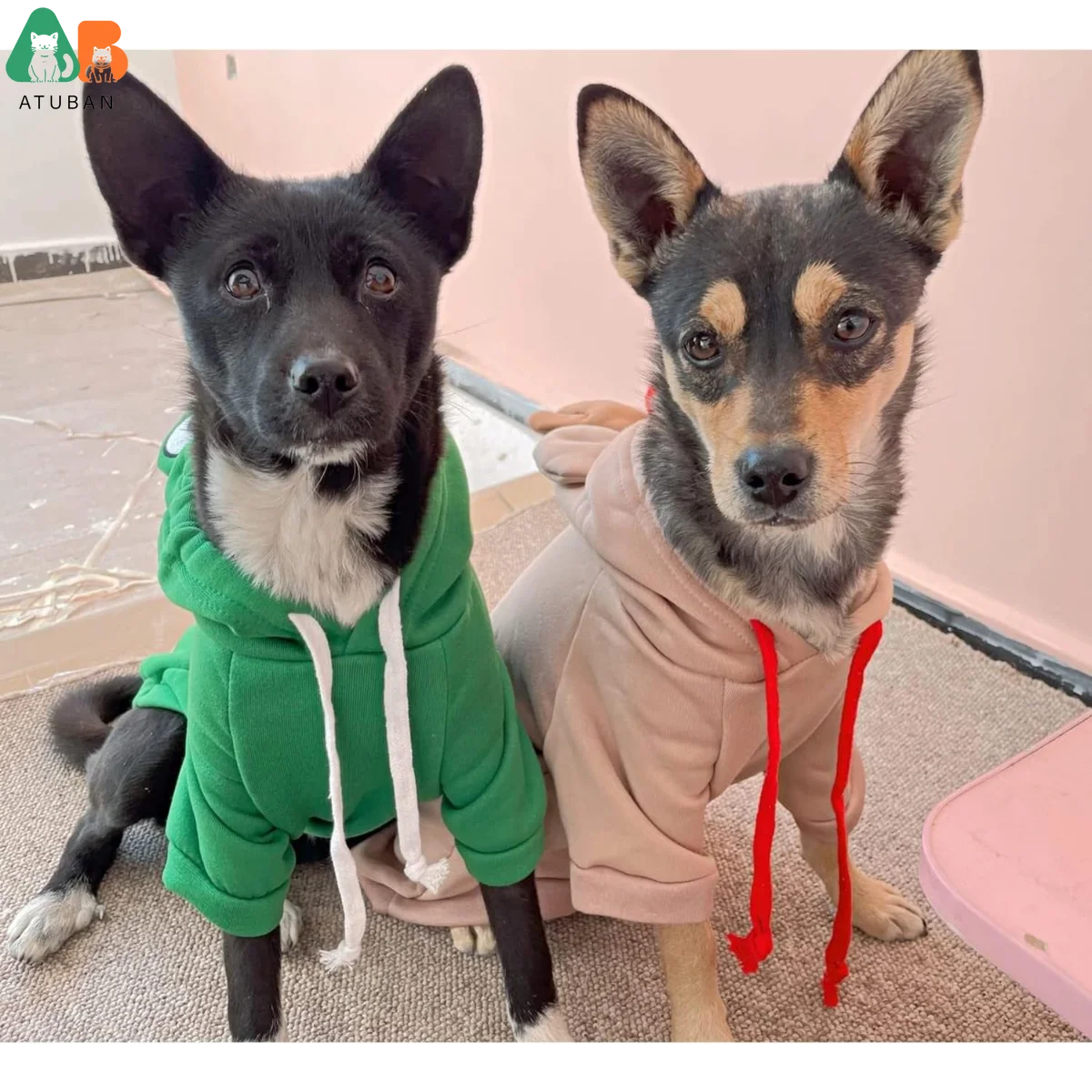 ATUBAN Sudadera con capucha para perro, suéter básico, abrigo, chaqueta cálida con forma de rana, ropa para clima frío para mascotas, ropa de abrigo para gatos, cachorros y perros