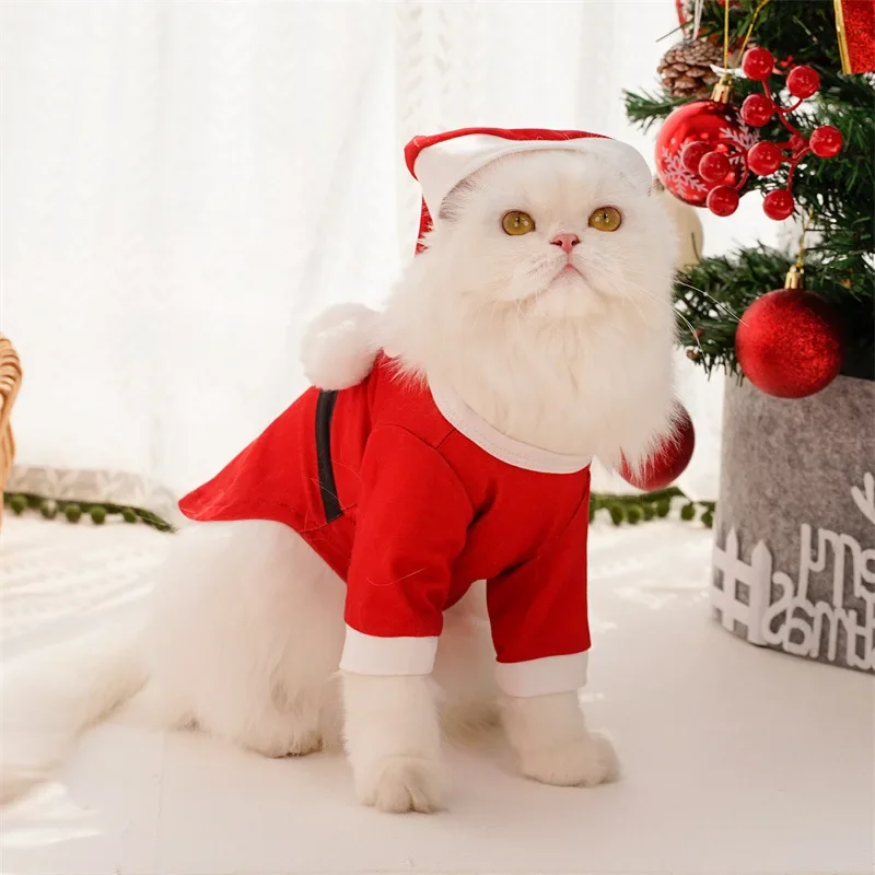 Ropa cambiante de Papá Noel para perro, oso de peluche, gato, suministros de ropa para mascotas, Halloween, Otoño e Invierno - imagen 2