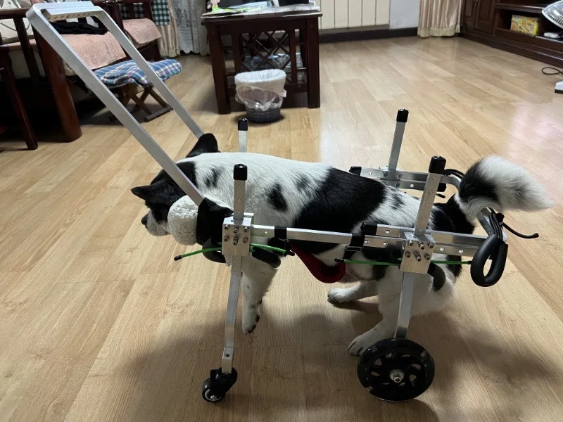 Sillas de ruedas paralizadas para perros grandes, mascotas mayores, descomposición general, discapacidad de los extremidades, patas delanteras, caminar asistido, extremidades traseras - imagen 5