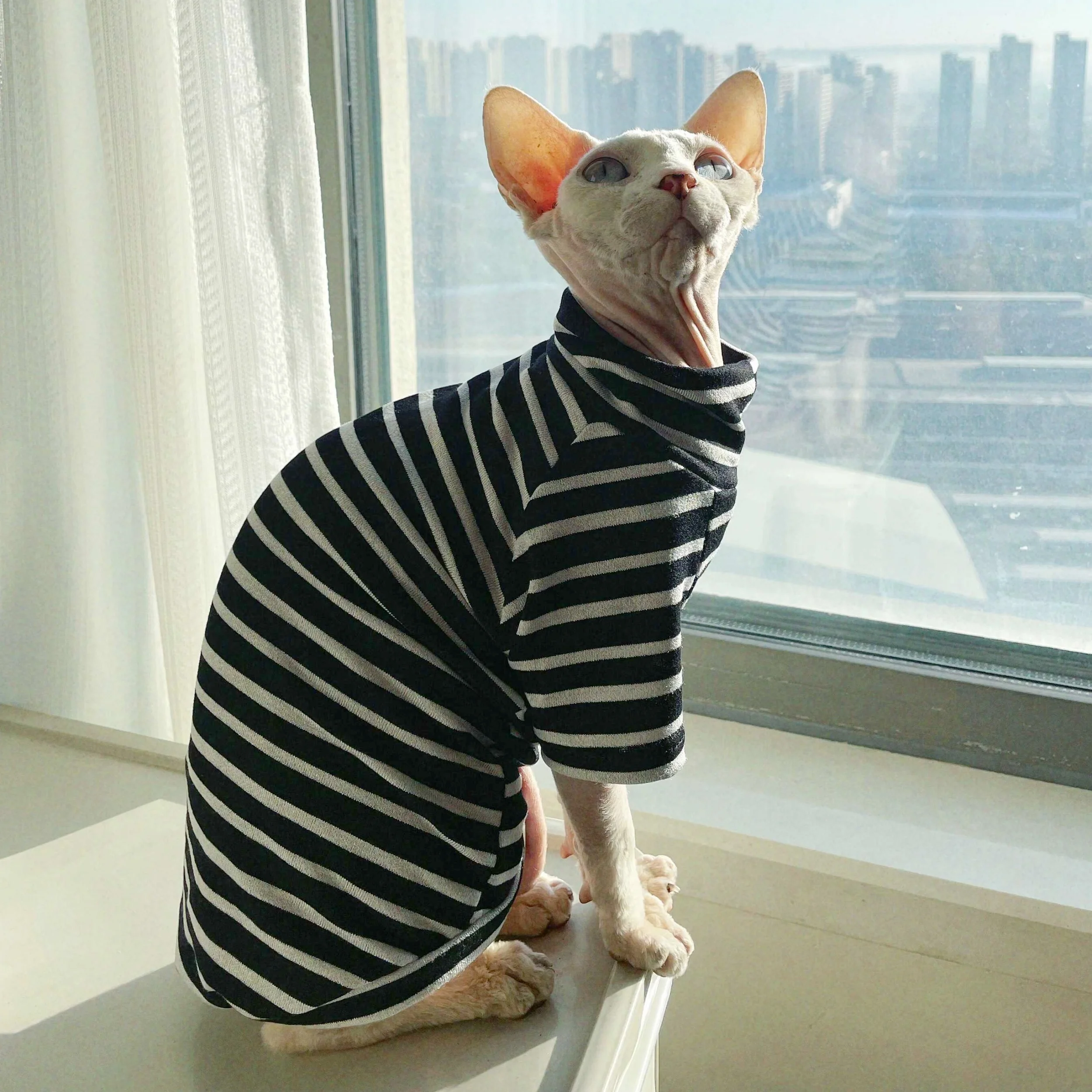 Camiseta de algodón a rayas negras para gato Sphynx, pijamas suaves de cuello alto para gatitos en primavera, abrigo de otoño de manga larga para Devon Rex - imagen 3