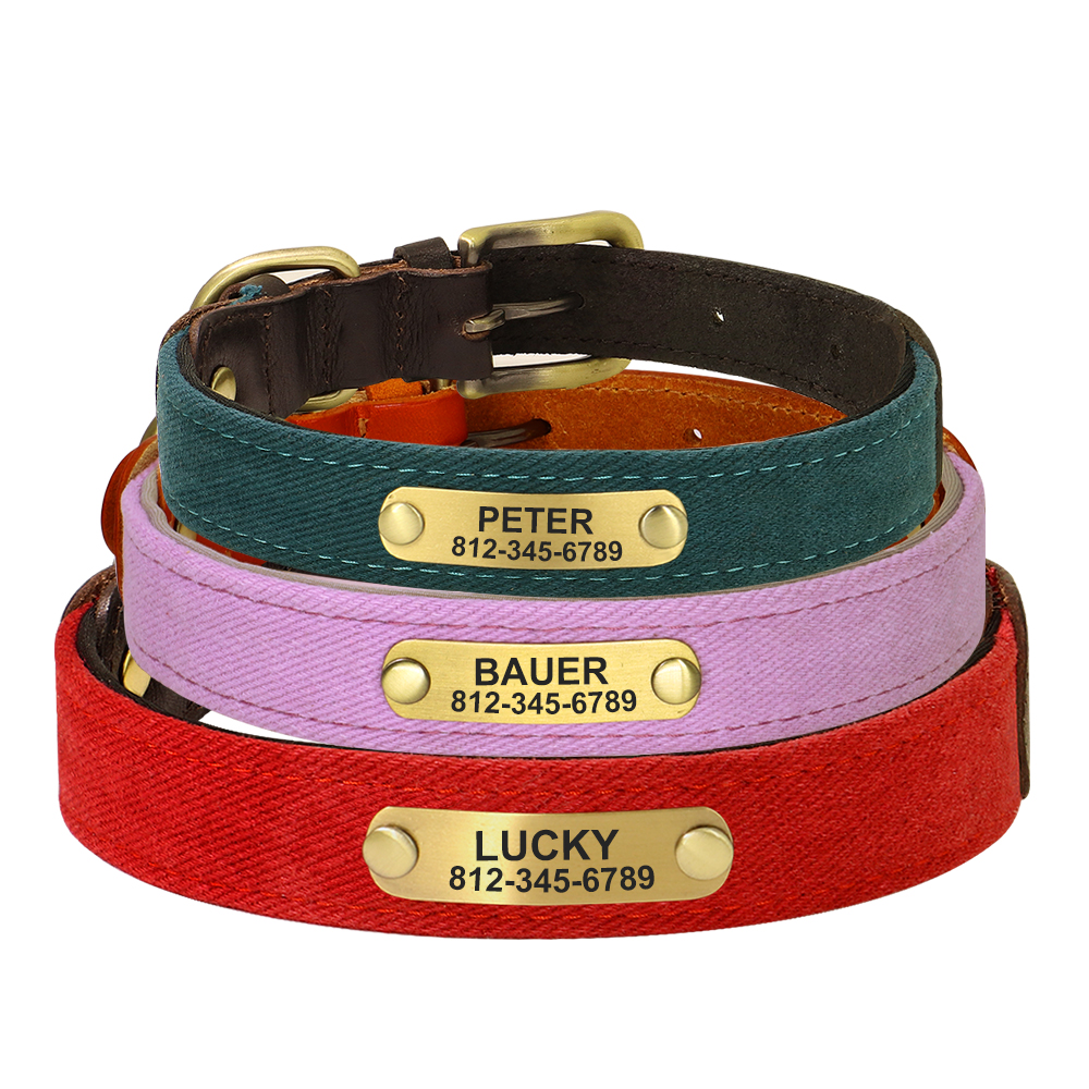 Collar Identificación - Diseño personalizado