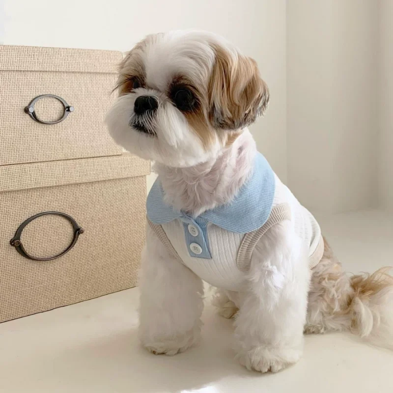 Conjunto chaleco polo ropa verano ligero cómodo para Chihuahua y Bichón - imagen 5