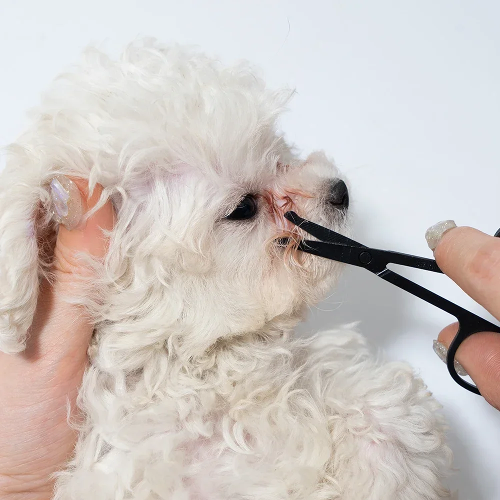 Peine de limpieza Facial para mascotas, elimina las manchas de desgarro, peine para palabras, tijeras de reparación de pelo de perro, peine de pelo de gato, suministros de limpieza para mascotas, accesorios - imagen 2