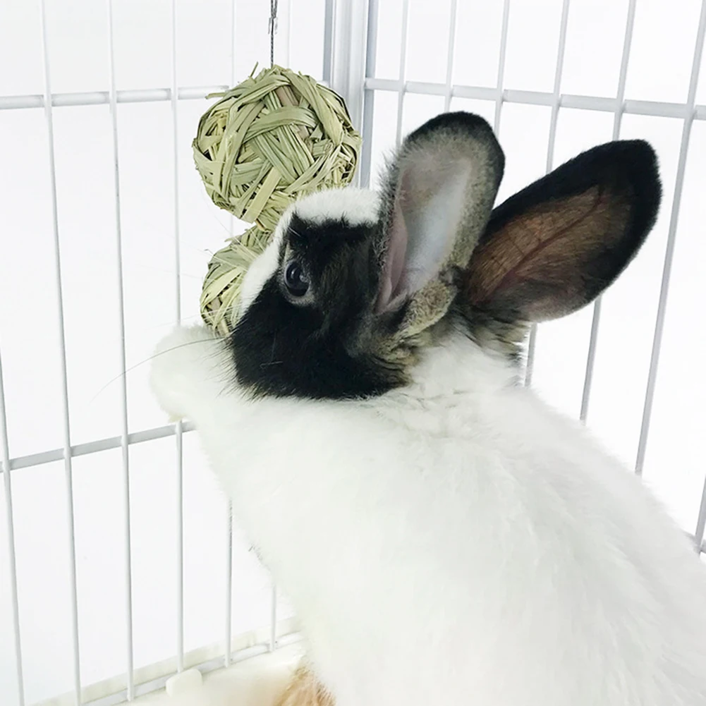 Sistema de dispensación de alimento de la bola