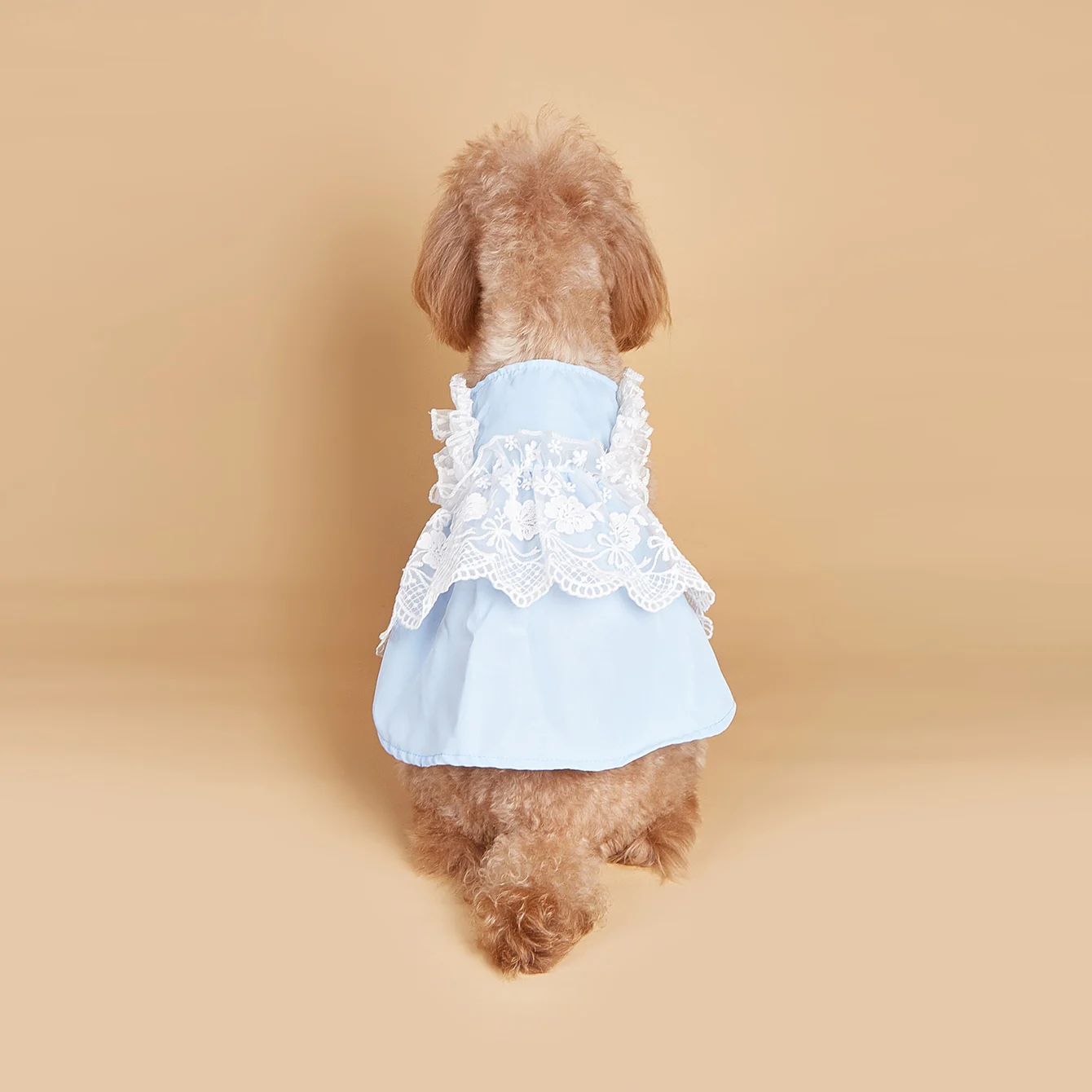 Vestido de perro azul claro de verano con decoración de encaje, ropa sin mangas de princesa para perros y niñas, disfraz de fiesta para perros pequeños/gatos - imagen 2