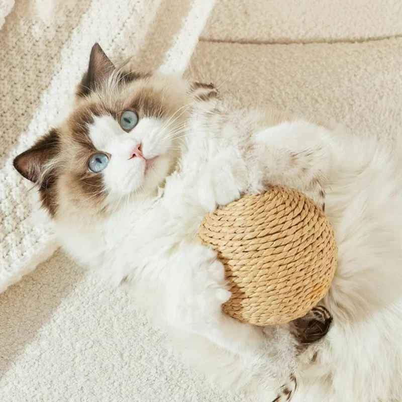 Bola interactiva de Sisal para rascar gatos, juguete para gatos, bola rodante para limpieza de dientes de gatito, juguete de plumas antimordeduras, suministros para mascotas - imagen 3