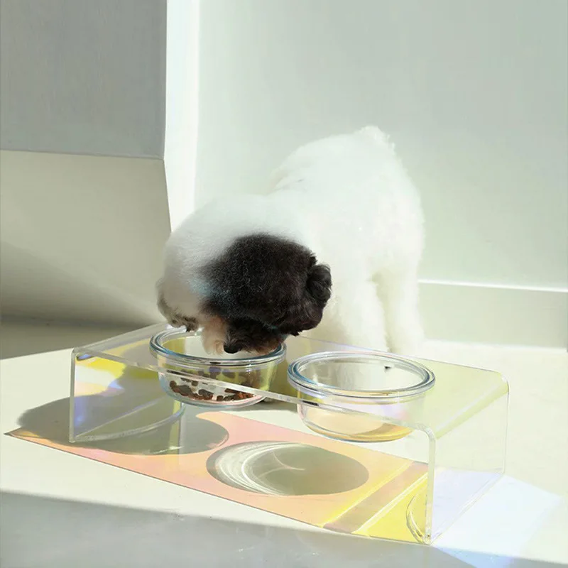 Mesa de comedor con láser para mascotas, estante de acrílico para gatos, cuencos para perros, estante de cena, suministros para mascotas, nuevo - imagen 5