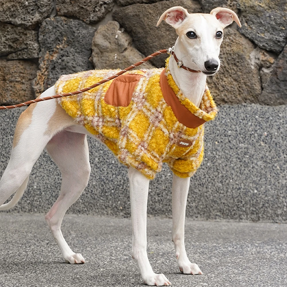 Ropa de lujo hecha a mano para galgo italiano en invierno, suéter a cuadros amarillo dorado para perros pequeños Whippet, abrigo cálido en otoño - imagen 4