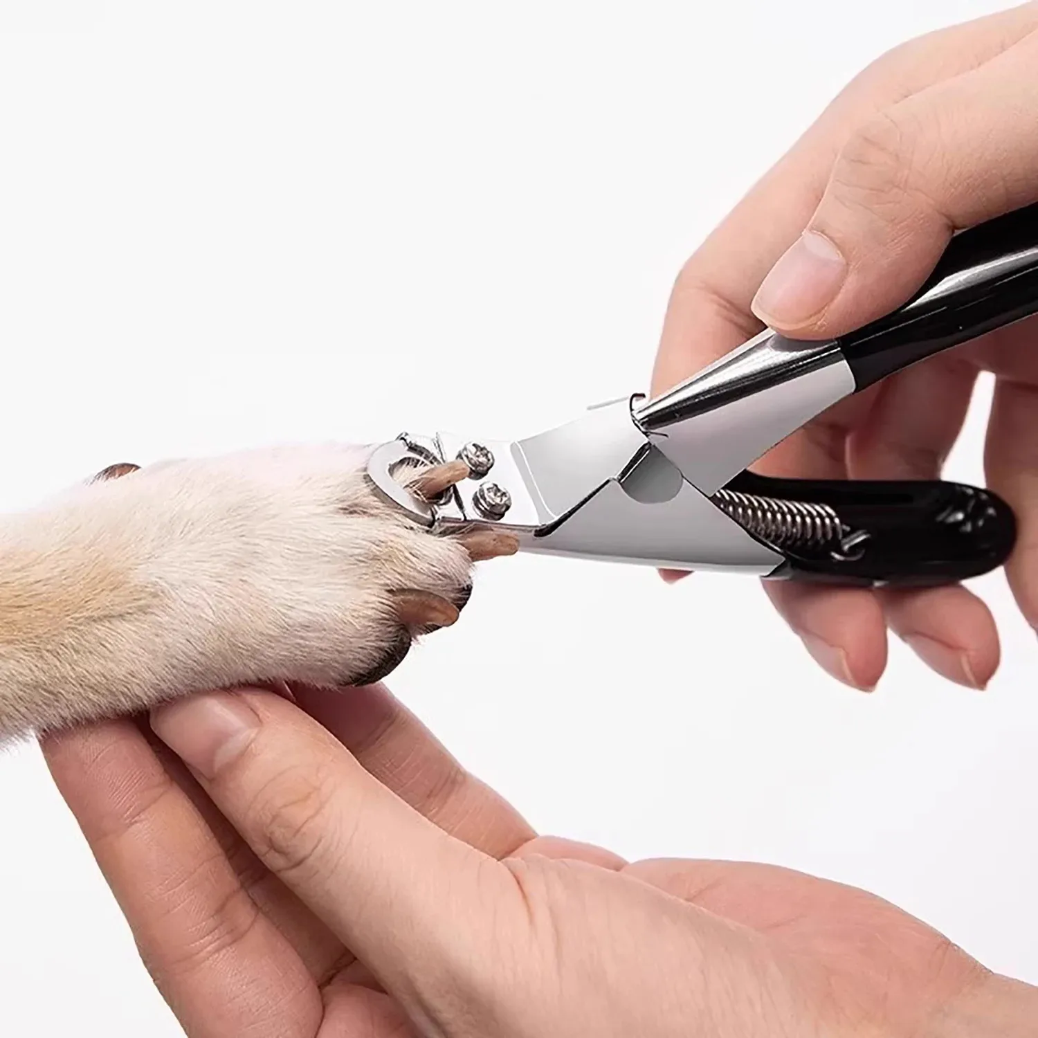 Cortauñas para perros y gatos, cortador de dedos de los pies de mascotas de acero inoxidable, tijera, herramienta de aseo para perros pequeños y medianos, cortaúñas con guillotina para gatos - imagen 5