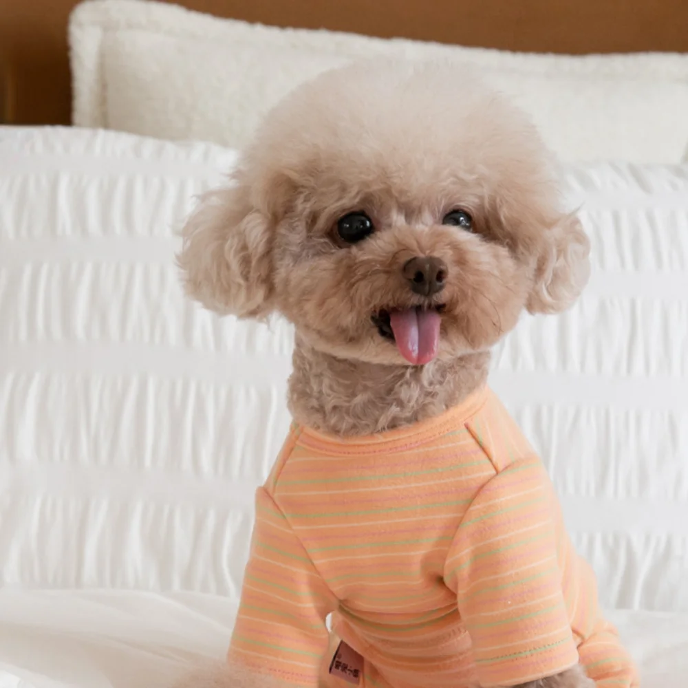 Jersey a rayas para perros y gatos – Ropa cálida de cuatro patas - imagen 3