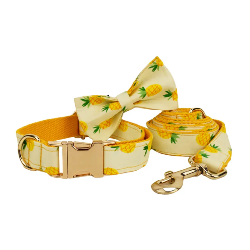 Bow Collar Leash Set
