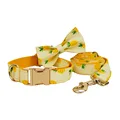 Bow Collar Leash Set