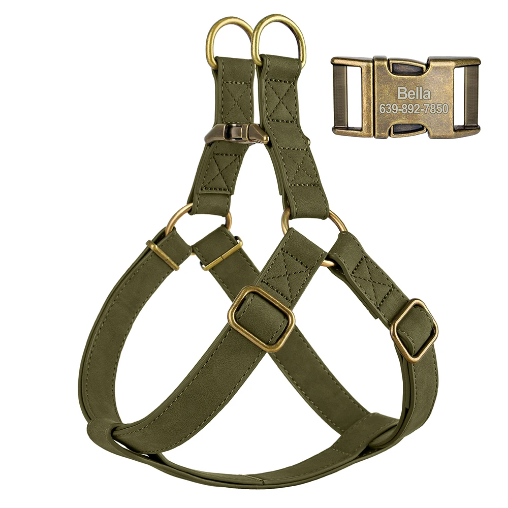 DGreen Harness
