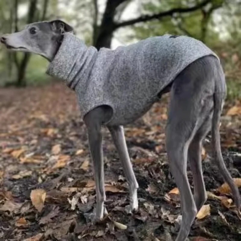 Ropa de invierno para perros, ropa cálida de otoño para perros grandes, cachorros pequeños, suéter de lujo para mascotas, accesorios para mascotas, suministros de productos de ropa - imagen 3