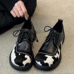 Mocasines para gatos y perros - suela suave y antideslizante