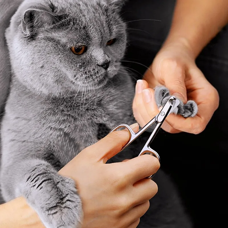 Cortauñas para perros, cortauñas de acero inoxidable para gatos, Mini tijeras para uñas, limpieza de patas de perros, cortauñas de Metal para perros, suministros para mascotas - imagen 3