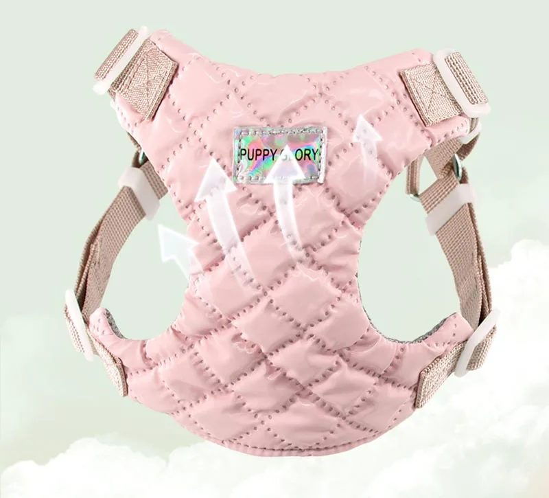 Gato usando el arnés ajustable Miss Doggy