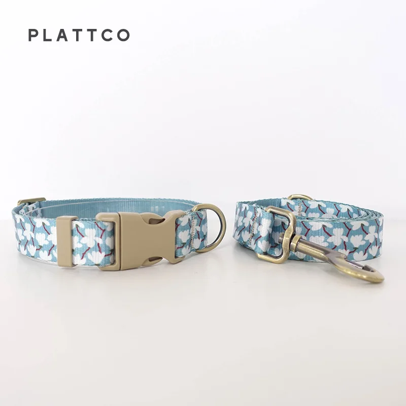 Dog Collar Leash Set