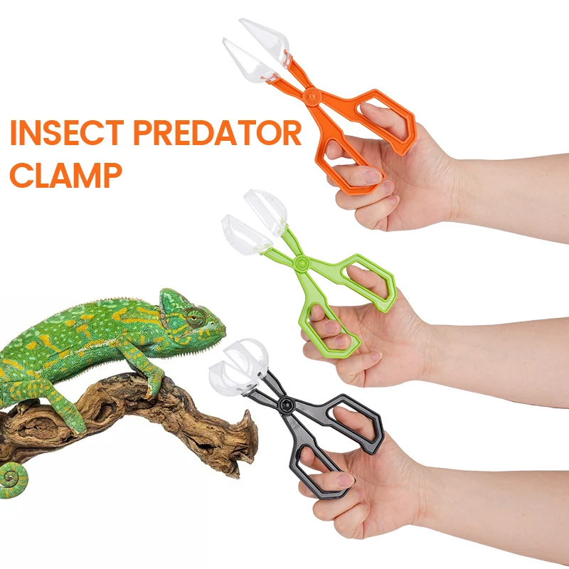 Herramienta de alimentación para criar mascotas, Clip para niños, trampa para insectos, tijeras prácticas para insectos, Clip para reptiles, terrario, lagartos, pinzas de plástico - imagen 2