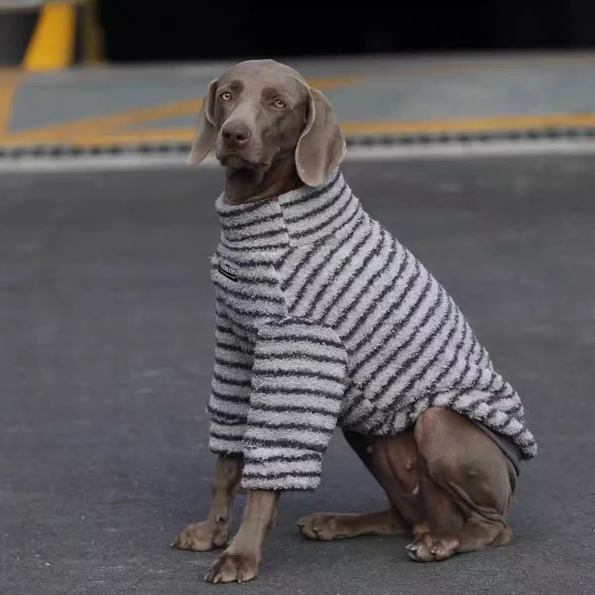 Sudadera cálida de lana para perros grandes y medianos, camiseta con capa Base para Labrador Golden Retriever, ropa de invierno para mascotas - imagen 2