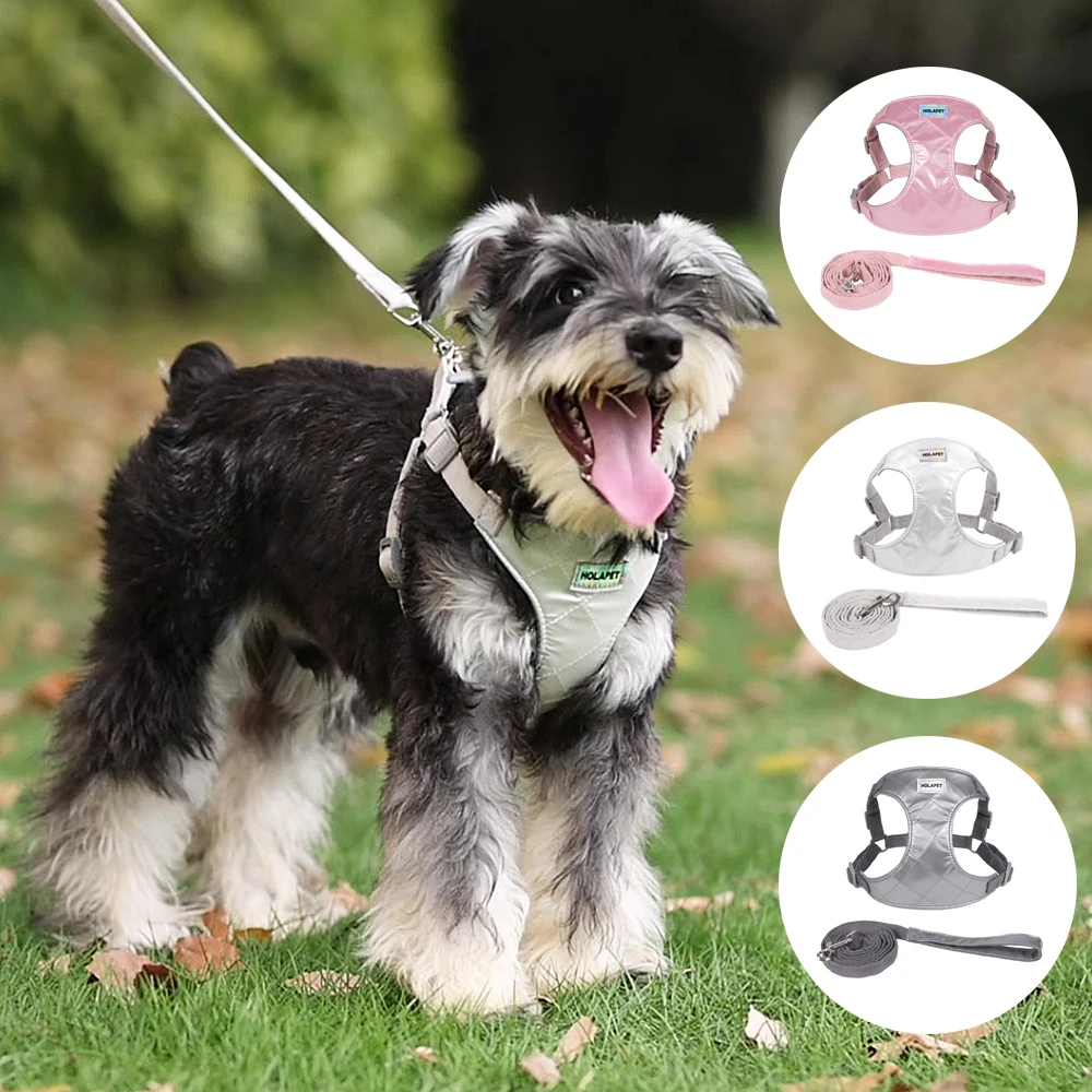 Juego de arnés y correa para perros pequeños y medianos, gatos al aire libre, sin tirar, correa ajustable para el pecho, Chihuahua, Pug, suministros para mascotas