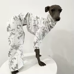 Mono Italian Greyhound perro estampado letras blancas cuello alto