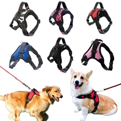 Arnés para perros – Chaleco resistente y ajustable para todas las tallas