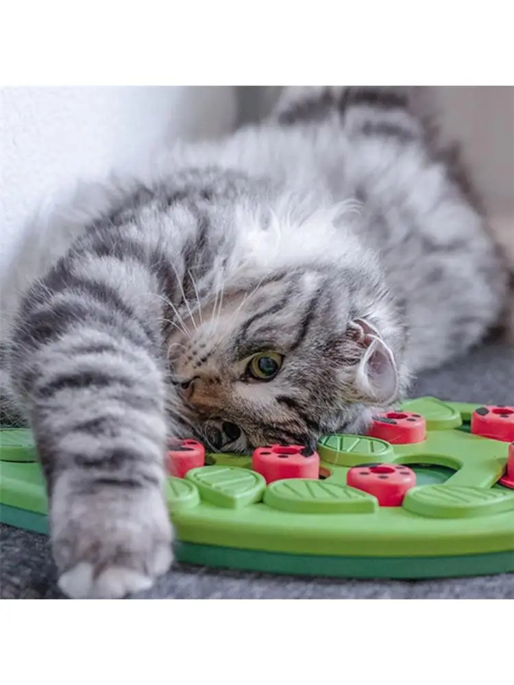 Nuevo juguete educativo para mascotas, juguete para perros y gatos, desarrollo de inteligencia, Bola de fuga, juguete para el aburrimiento - imagen 2