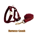 Harness   leash