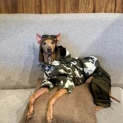 Chaqueta viento con capucha para galgo italiano, whippet y bellington