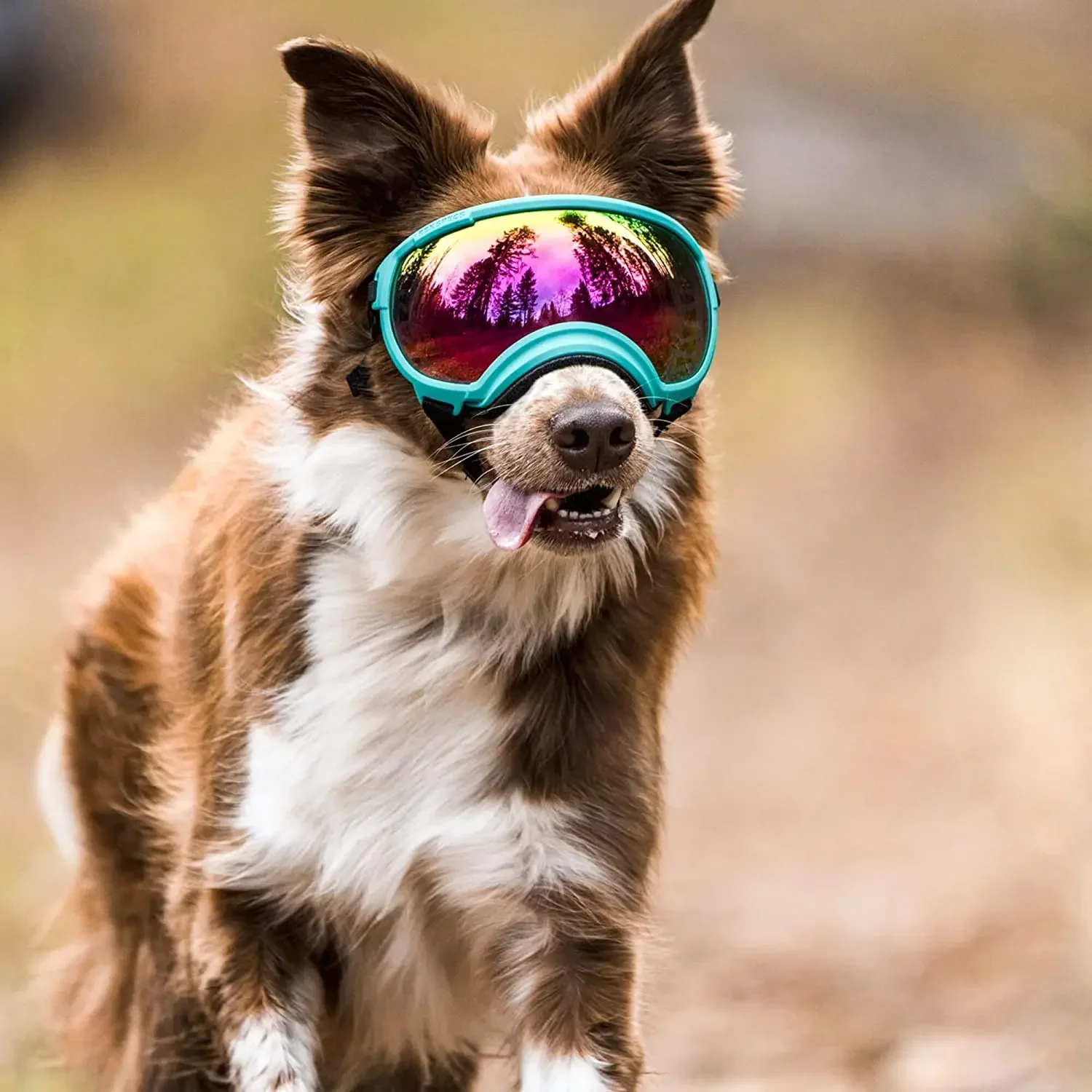 ATUBAN Gafas para perros Anti UV Fuerte resistencia al impacto Ajustable Elástico Cachorro Gafas para perros de razas grandes Gafas de sol transpirables para mascotas - imagen 3