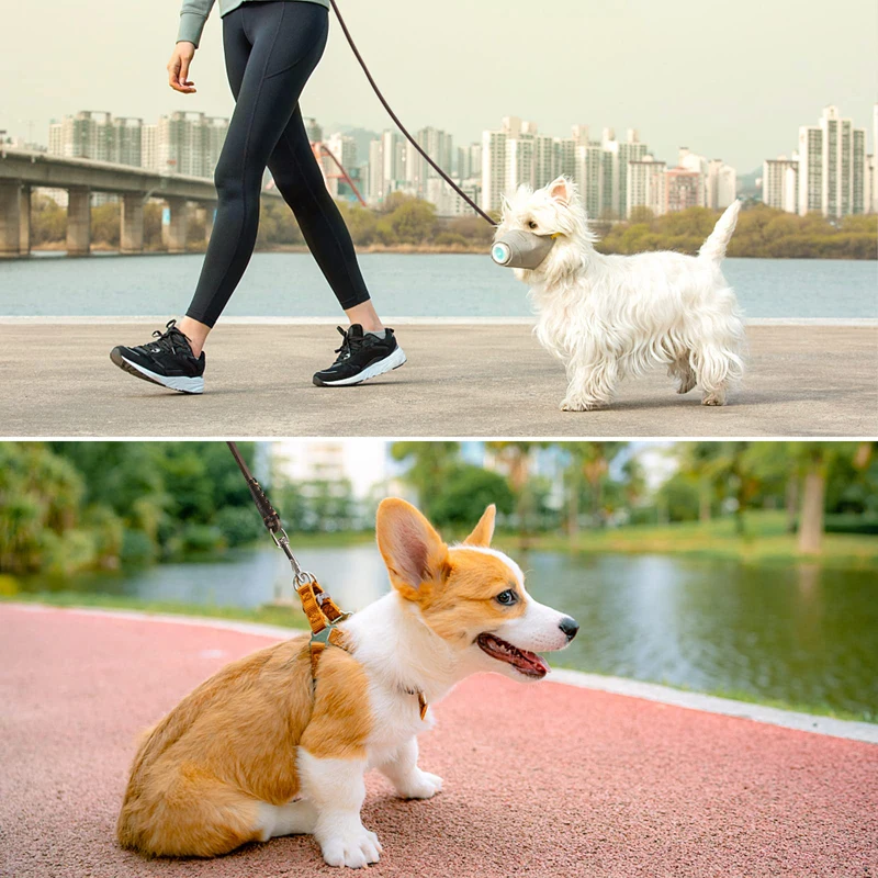 Benepaw-Correa de cuero genuino resistente para perros, Correa ligera y cómoda para cachorros y gatos de menos de 10kg/22 libras - imagen 2