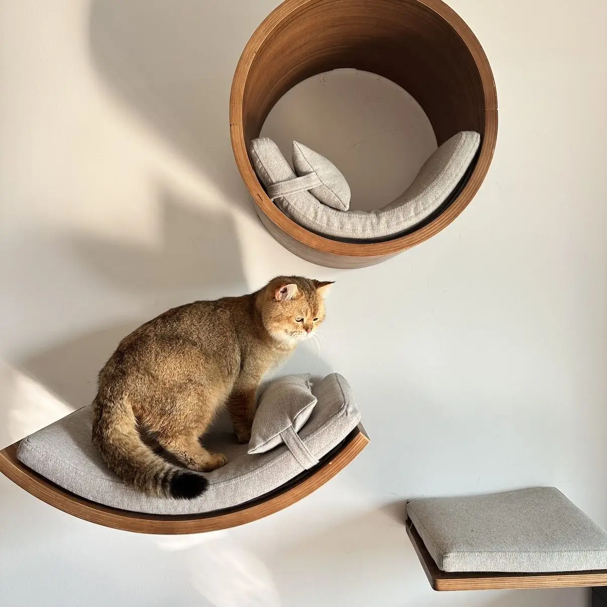 Tirador para gatos, hamaca para gatos montada en la pared, Kit de muebles para mascotas, juego de estantes de pared para gatitos, percha para gatos, casa de árbol para gatos - imagen 3