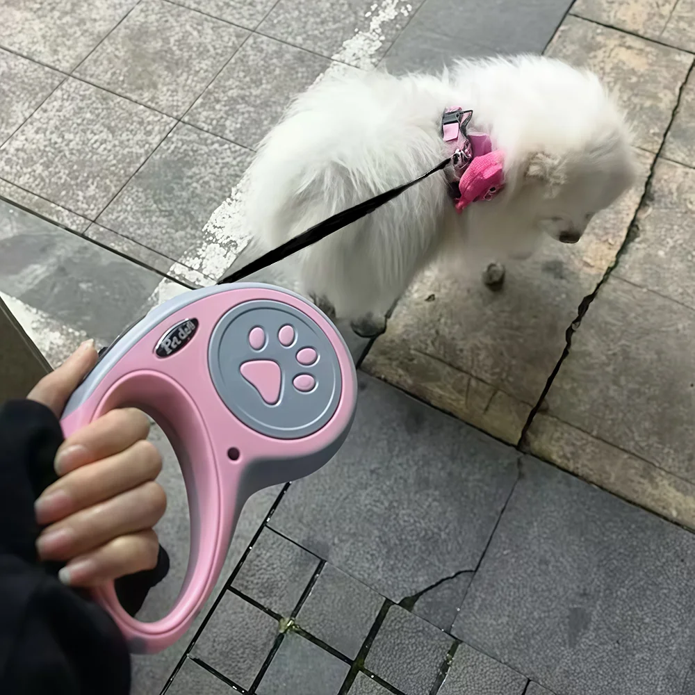 Correa de nailon para perros pequeños, medianos y grandes, correa retráctil automática para mascotas, cuerda de tracción fuerte para caminar al aire libre, suministros para Chihuahua - imagen 5